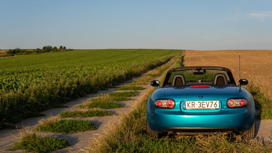 Teal convertible car in nature